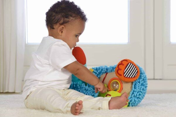 Dolce Bob der verrückte Windhund 3