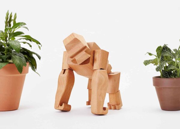 Hanno the Gorilla-03