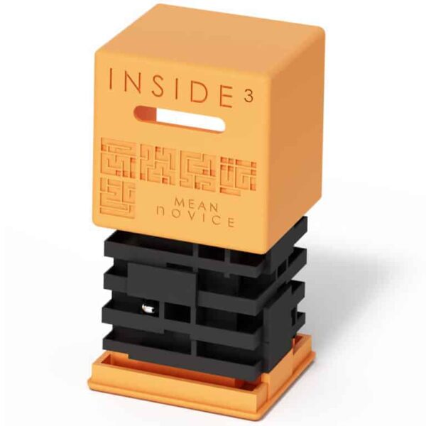 INSIDE3 Mean noVice-02