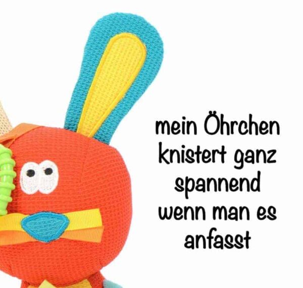 Carlo the naughty bunny