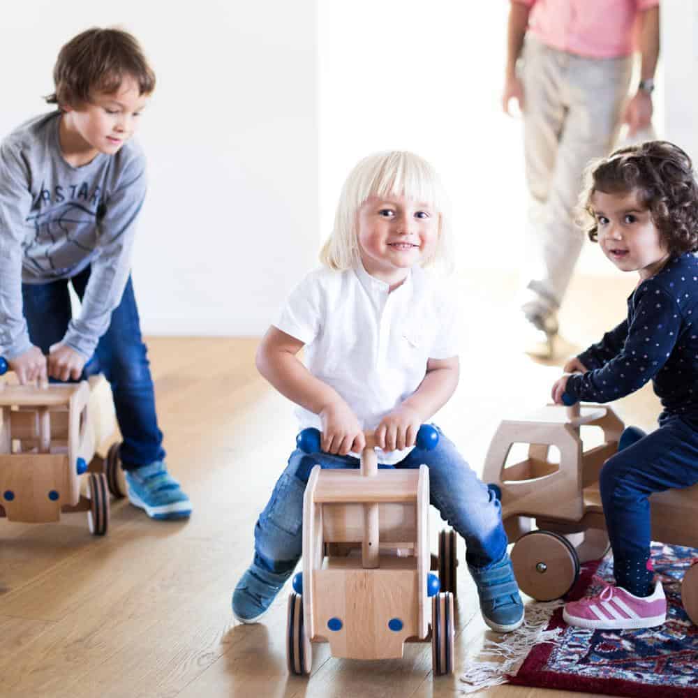 Dynamiko Holz-Rutscher Fred