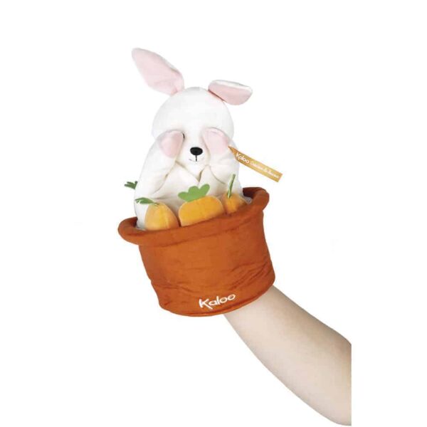 ROBIN RABBIT SURPRISE PUPPET
