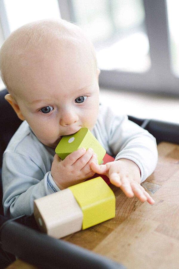 Tegu Baby Bauklötze 15 Teile2