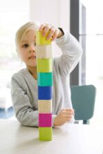 Tegu Baby Bauklötze 15 Teile2