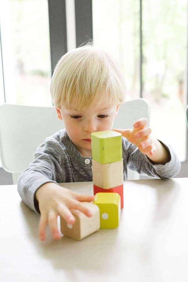 Tegu Baby Bauklötze 15 Teile2