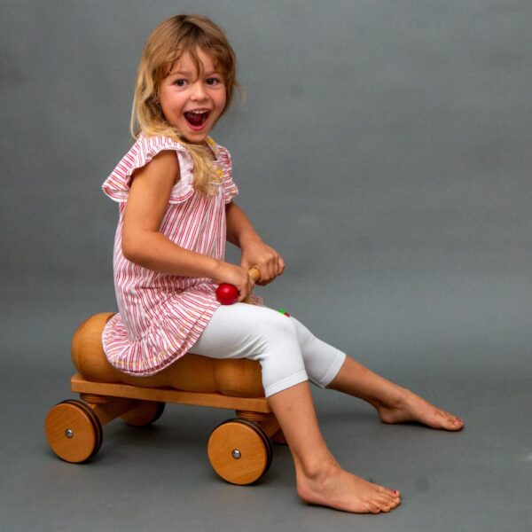 Dynamiko Rutschfahrzeug Raupe