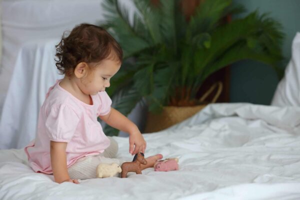 PlanToys Nutztiere-Set