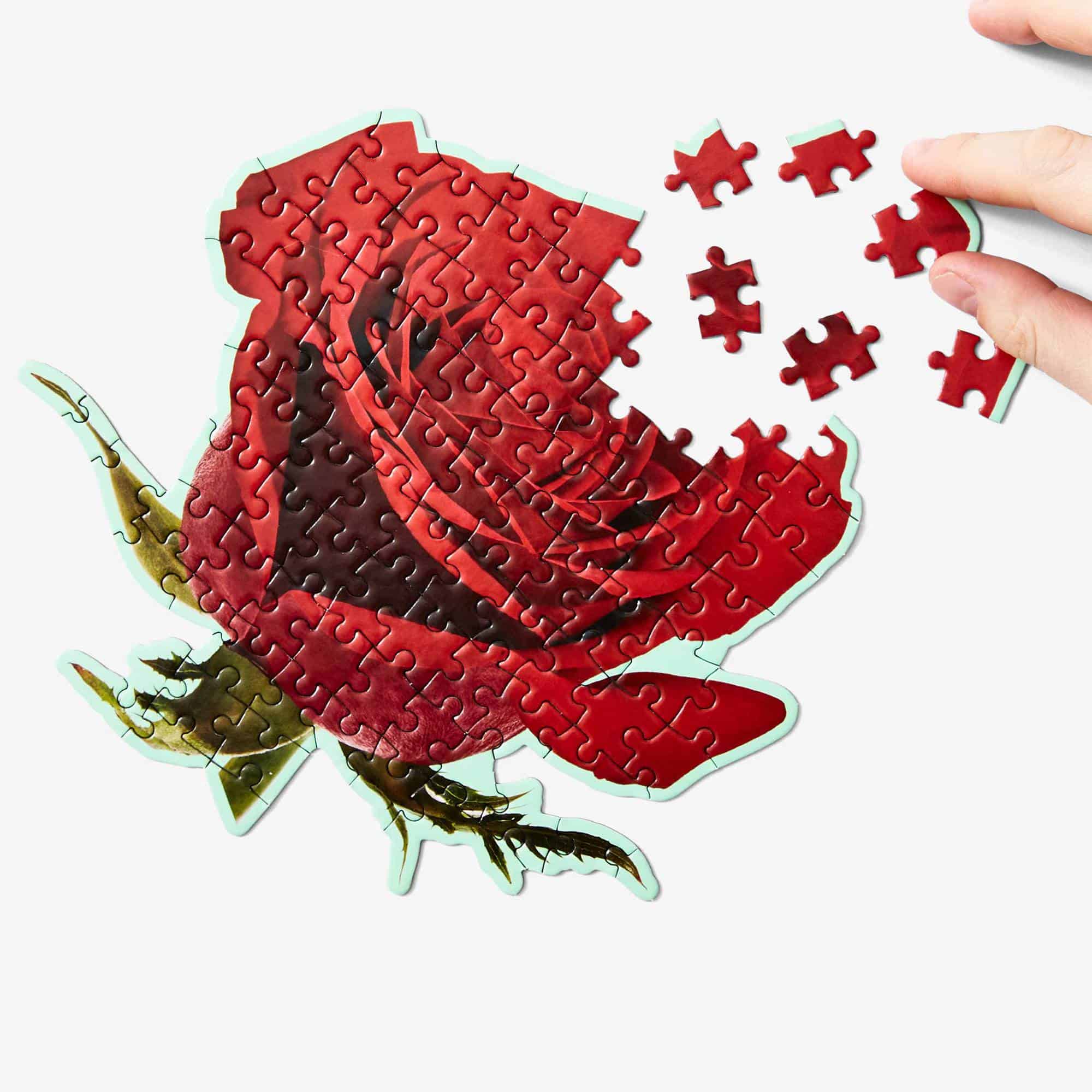 Little_Puzzle_Thing_Areaware_Smells_Rose_Geruch_Gerueche_Group_AWPTL4RO_onWhite_2048_1024x1024@2x Little_Puzzle_Thing_Areaware_Smells_Rose_Geruch_Gerueche_Group_AWPTL4RO_onWhite_2048_1024x1024@2x