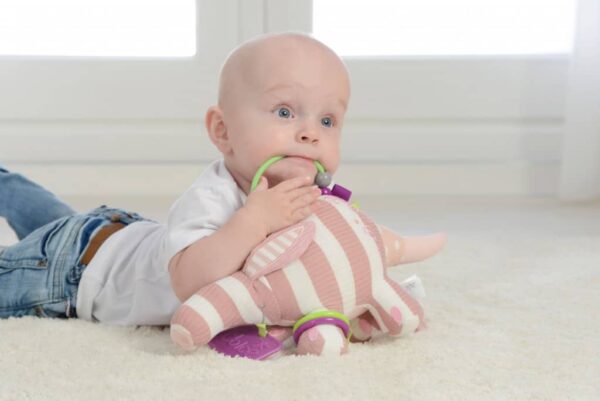 Dolce Baby Ameisenbär Alice (1)