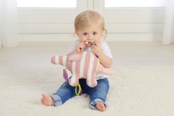 Dolce Baby Ameisenbär Alice (1)