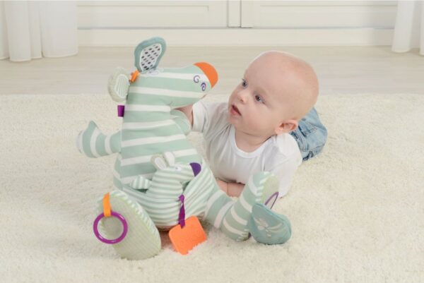 Das Känguru spielerisch entdecken