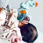 Dolce Ozzy das Känguru (1)