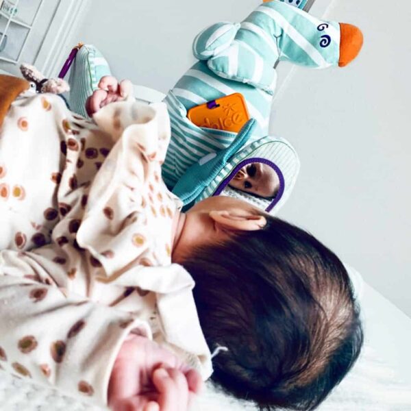 Dolce Ozzy das Känguru (1)