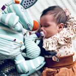 Dolce Ozzy das Känguru (1)