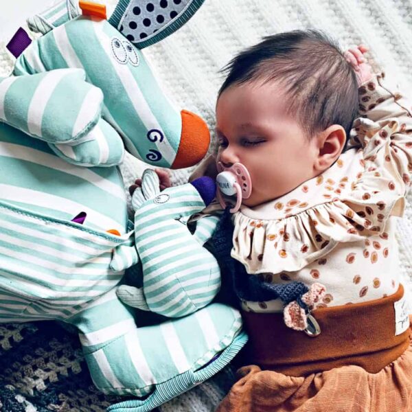 Dolce Ozzy das Känguru (1)