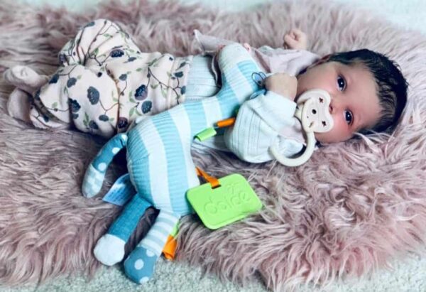 Dolce Zack das Zebra