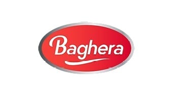 Baghera Logo