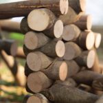 Guidecraft Big Branch Block Builders