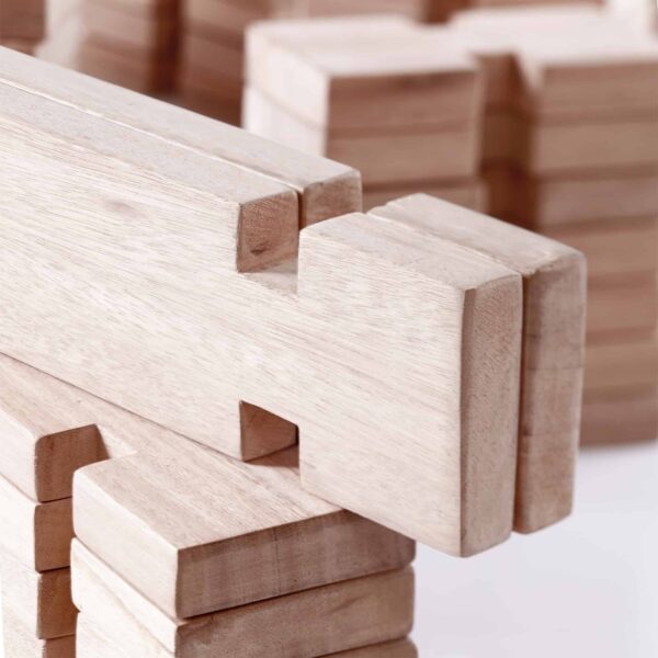 Guidecraft Notch Blocks 89 Teile