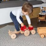 Dynamiko Holztraktor - Ferdinand (2)