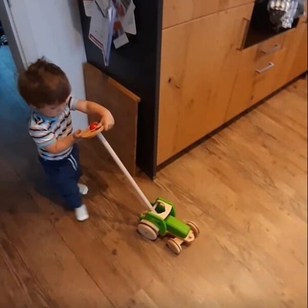 Dynamiko Holztraktor - MIO mit Lenkstange (7)