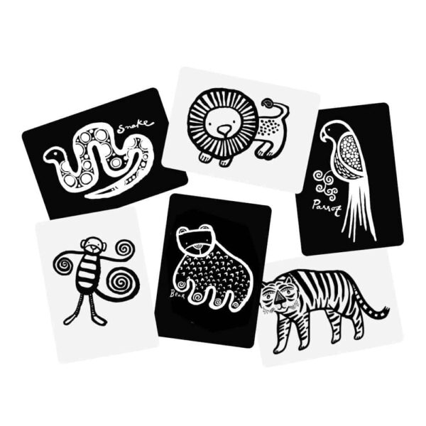 Wee Gallery Baby Art Cards - Dschungel