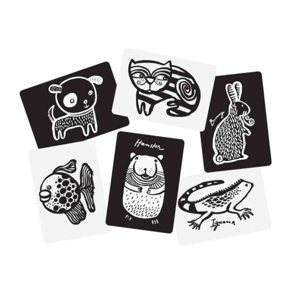 Wee Gallery Baby Art Cards - Haustiere