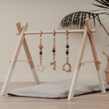 Leg&Go Baby Gym