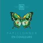 Billes & Co - Box Schmetterling