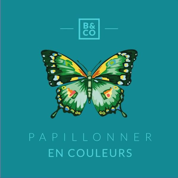 Billes & Co - Box Schmetterling