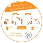 Chillafish Bunzi Orange