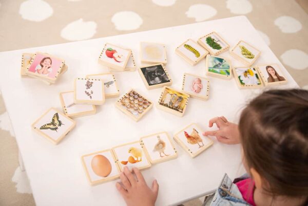 TickiT Wooden Lifecycle Tiles