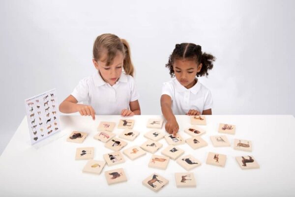 Tickit Domestic Animal Family Match