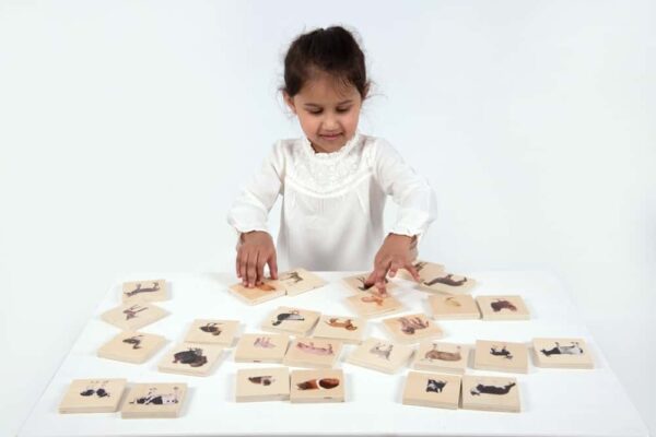 Tickit Domestic Animal Family Match