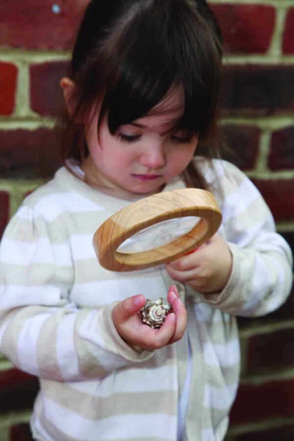 Tickit Wooden Hand Lens