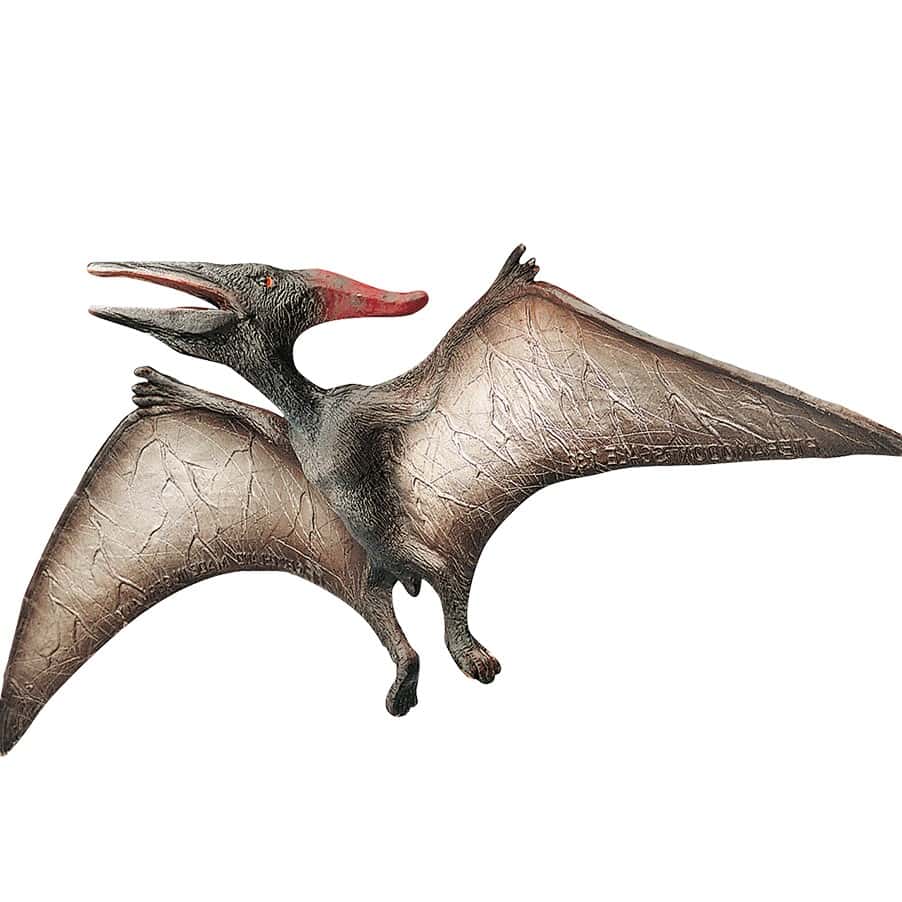 Bullyland Pteranodon Museum Line-61364 Bullyland Pteranodon Museum Line-61364