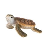 Bullyland Meeresschildkröten Junges 63569