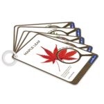 Guidecraft Specimen Stones - Plants