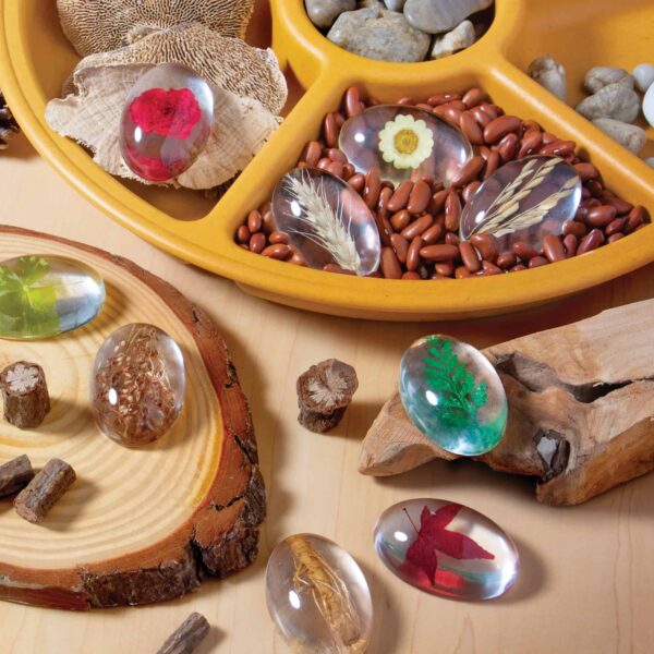 Guidecraft Specimen Stones - Plants