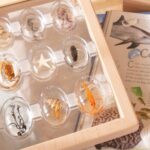 Guidecraft-Specimen-Stones-Staender-G4503