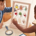 Guidecraft-Specimen-Stones-Staender-G4503