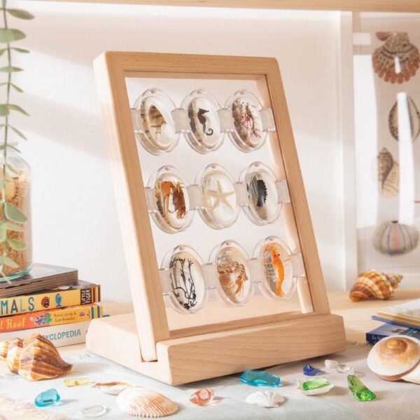 Guidecraft-Specimen-Stones-Staender-G4503