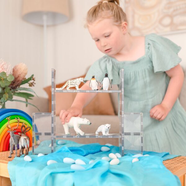 12pc-Clear-Rectangle