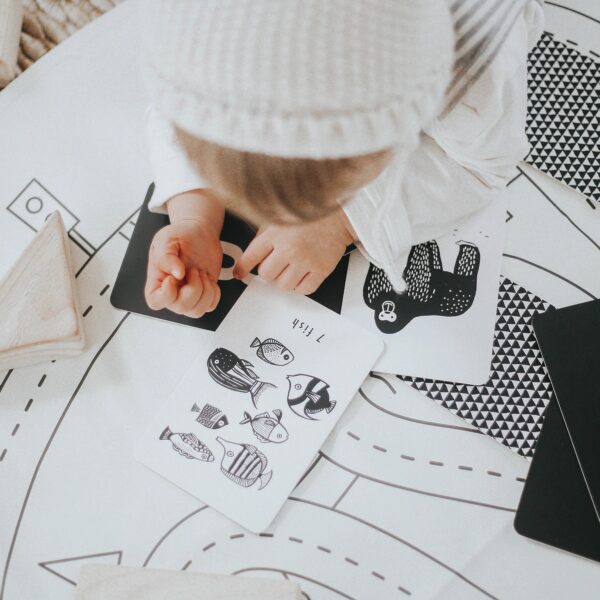 Wee Gallery Memory-Spiel Naturzahlen-Karten 5