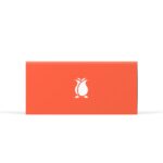 Candylab-Rosebud Camper