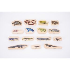 Tickit-Wooden Reptile & Amphibian-73570