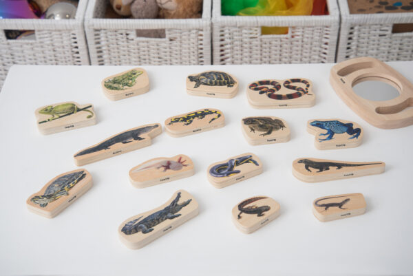 Tickit-Wooden Reptile & Amphibian-73570