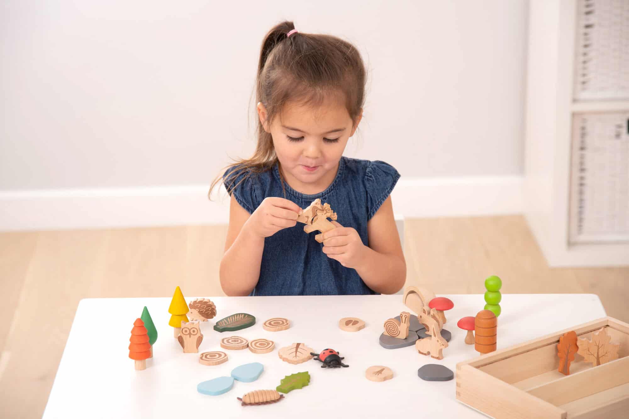 Tickit-Woodland Trail Set-73552