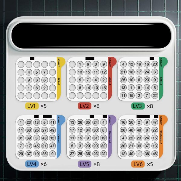 SCIENCE CAN-1602062023-GEHIRNJOGGING