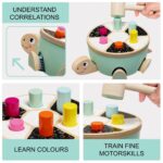 TOPBRIGHT-1210972022-KLOPFSPIEL SCHILDKRÖTE